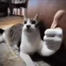 Yeslam